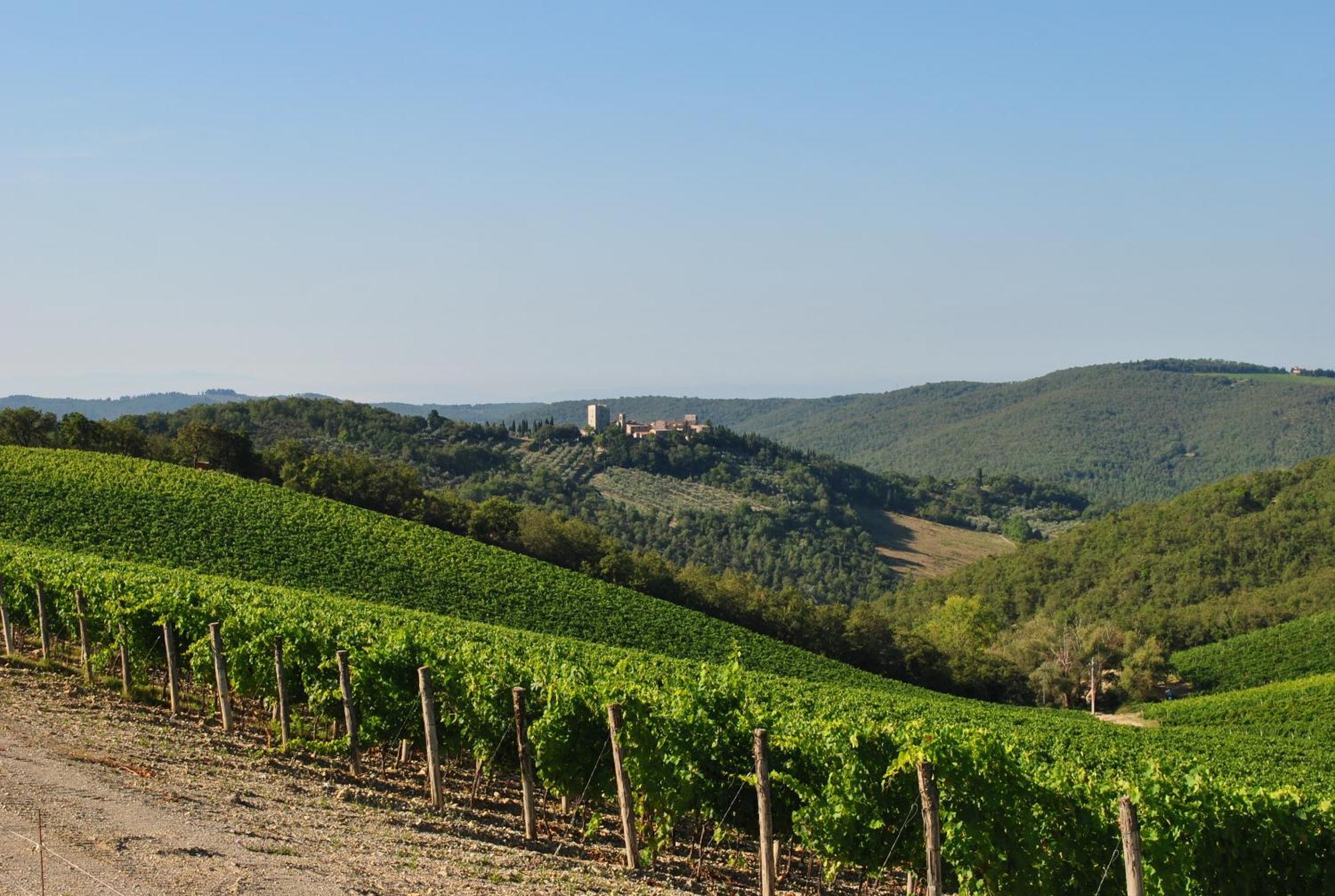 Castello Di Spaltenna Exclusive & Gaiole in Chianti
